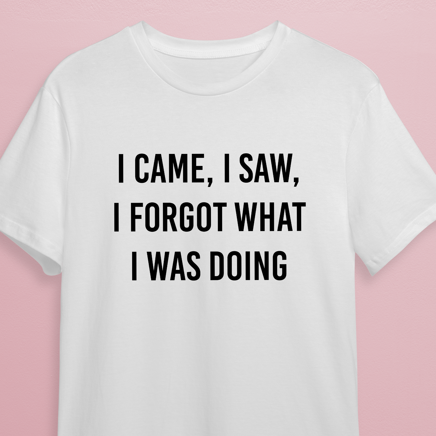 T-shirt - came saw forget