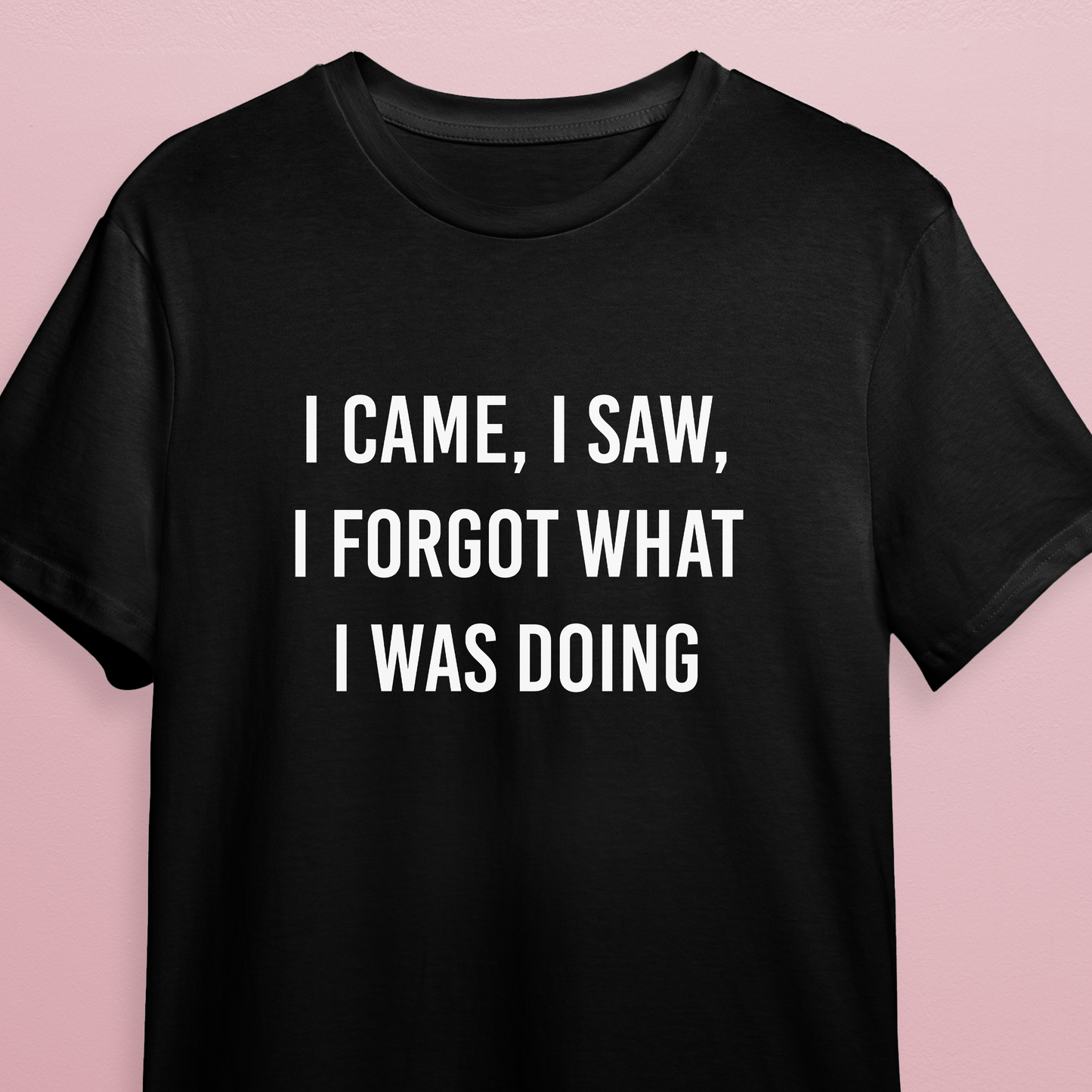 T-shirt - came saw forget